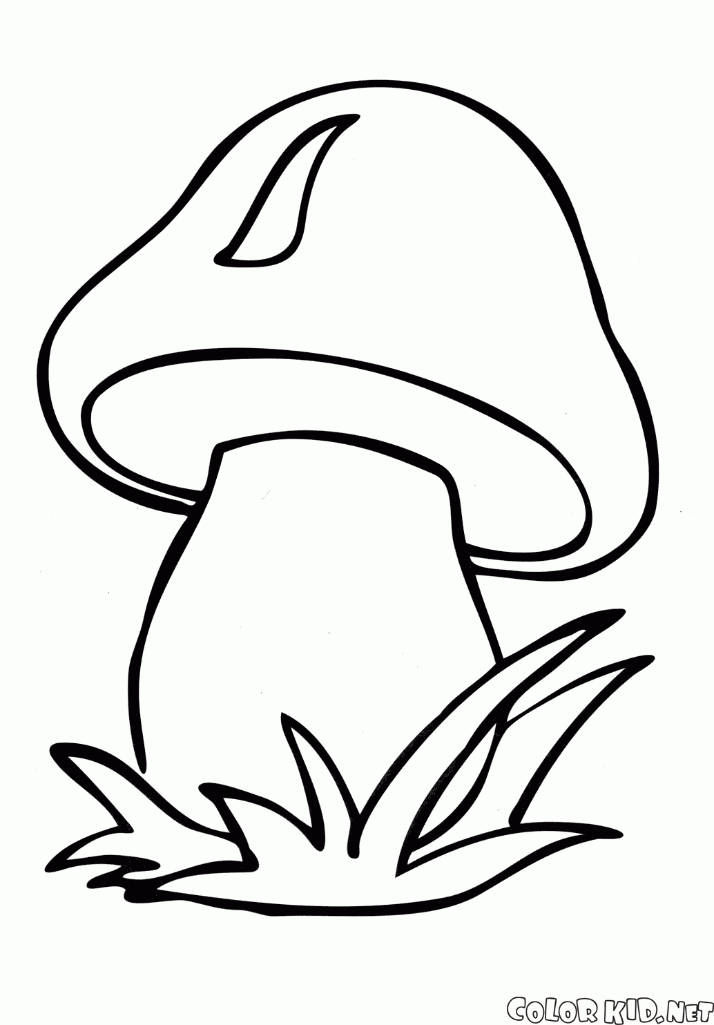 Disegni Da Colorare Fungo
