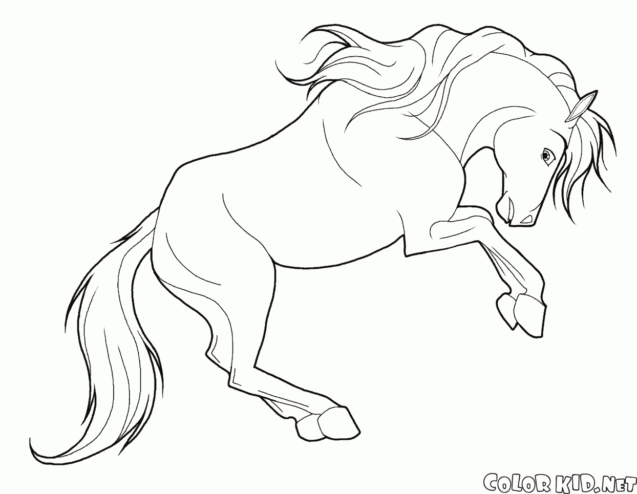 Disegni da colorare cavalli for Immagini di cavalli da disegnare