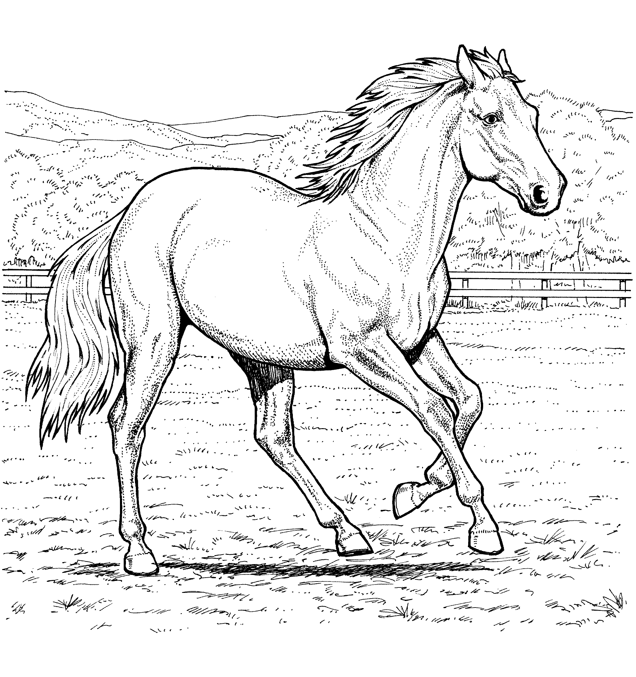 Hans Sul Cavallo Disegni Da Colorare Gratis Disegni D - vrogue.co