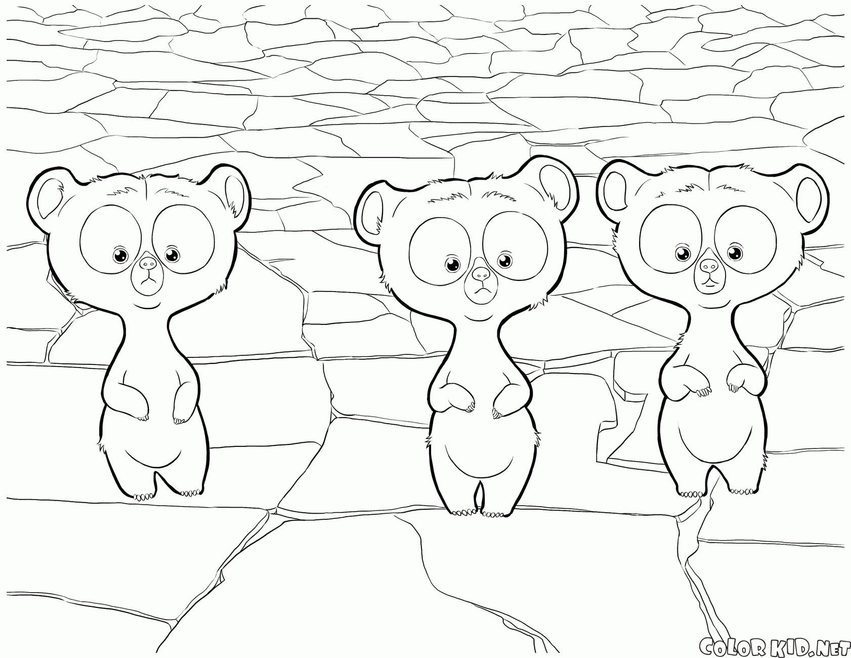 Disegni da colorare - Le terzine sono diventati cuccioli di orso