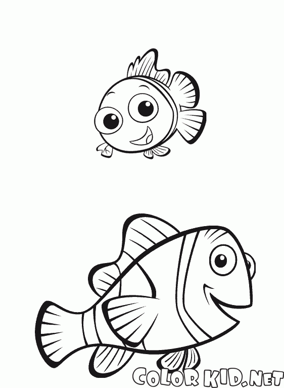 Nemo e il padre