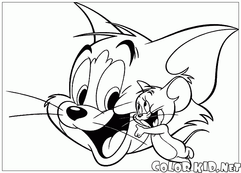 Tom e Jerry amici