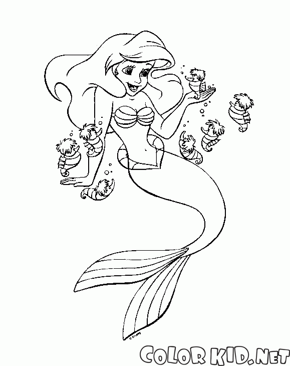 Ariel e cavallucci marini