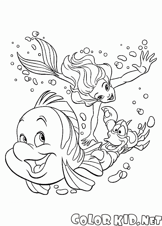 Flounder Sebastian e The Little Mermaid