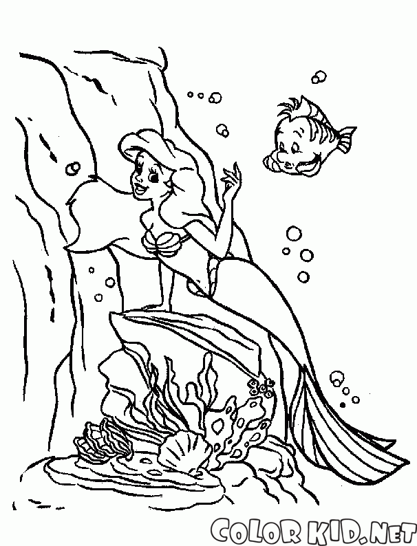 La Sirenetta e Flounder