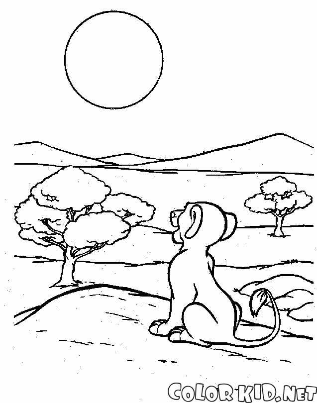 Simba e il sole