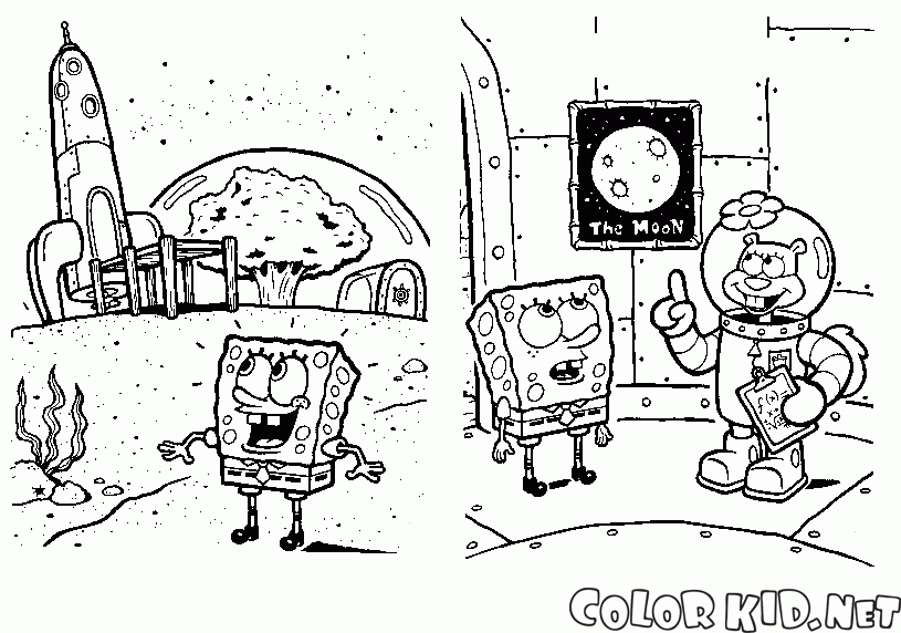 SpongeBob e Scoiattolo