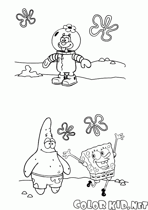 Amici Sponge Bob