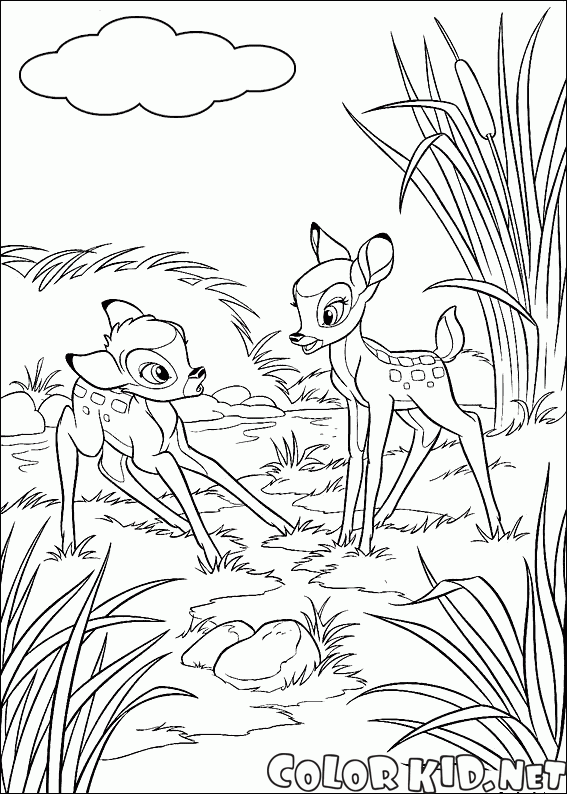 Bambi incontra Faline