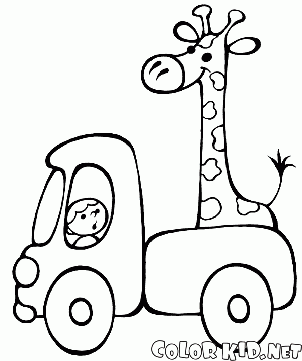 Modifica giraffa in auto