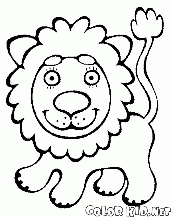 Buona Lion