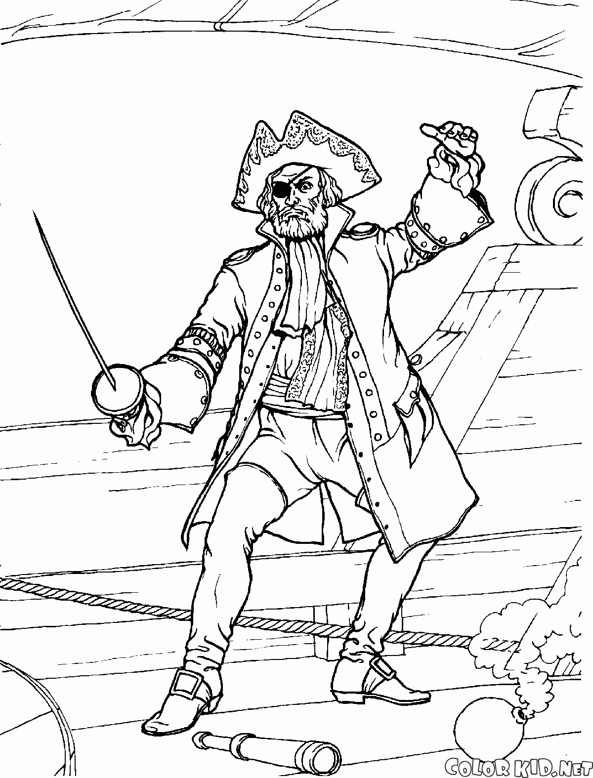 Recinzioni Pirate