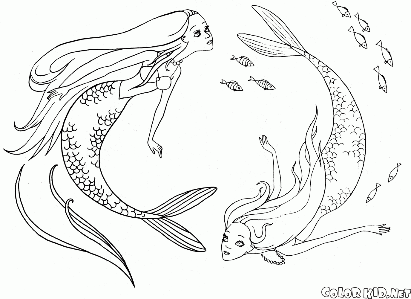 Mermaids nuoto