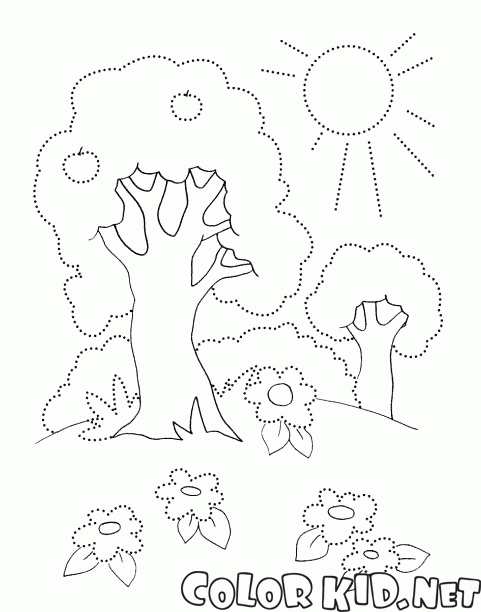 Gli alberi in estate