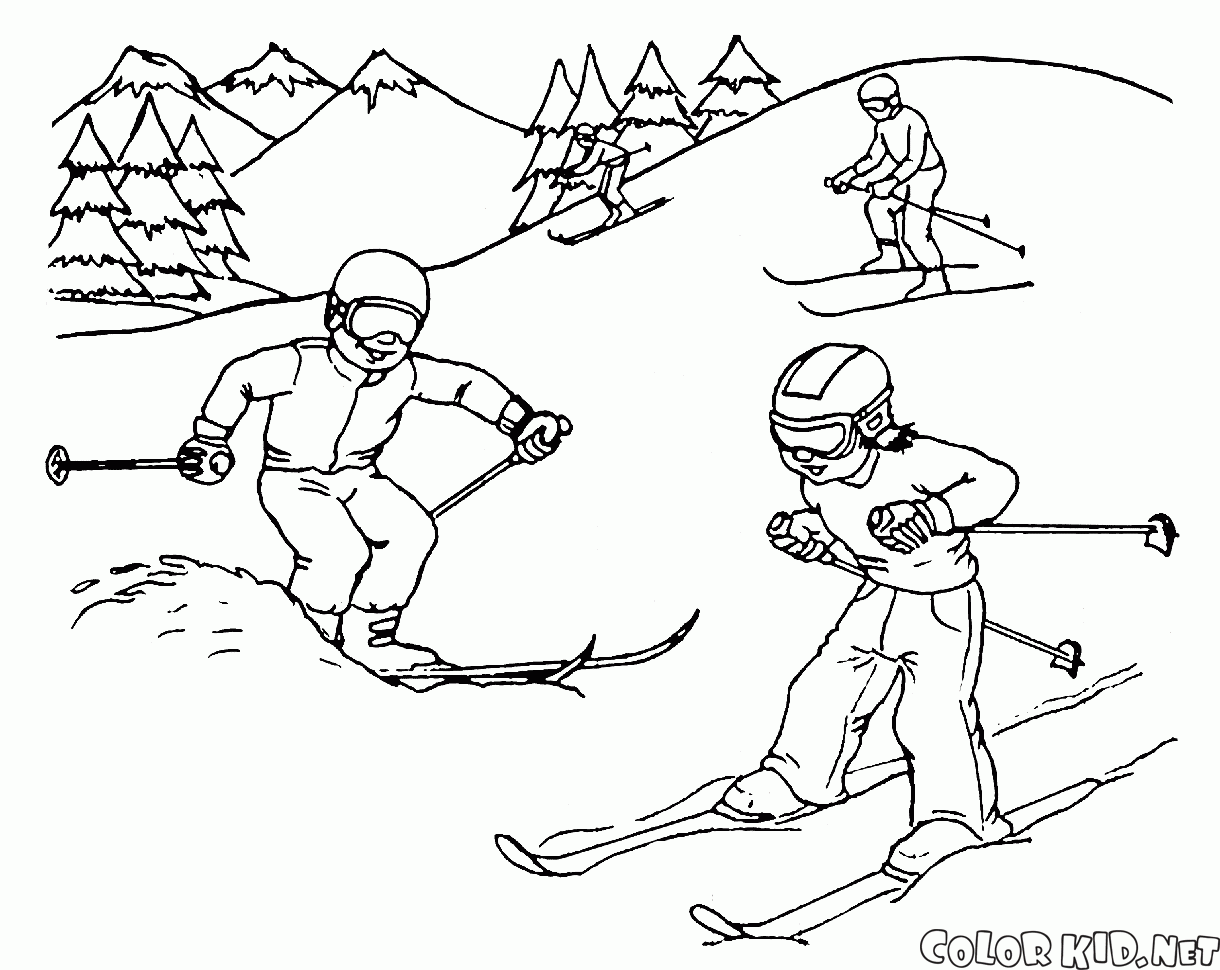 Sciare