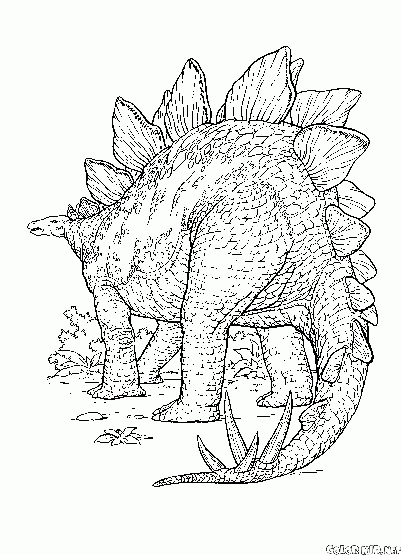 Disegni Da Colorare - Dinosauro Di Spine Affilate