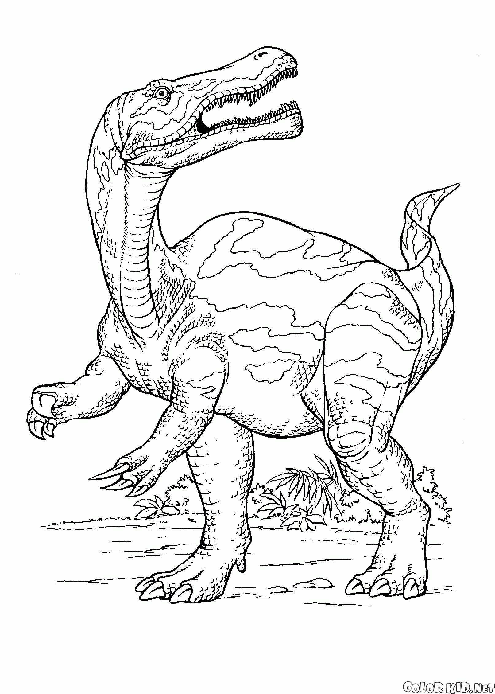 Caccia Dinosaur