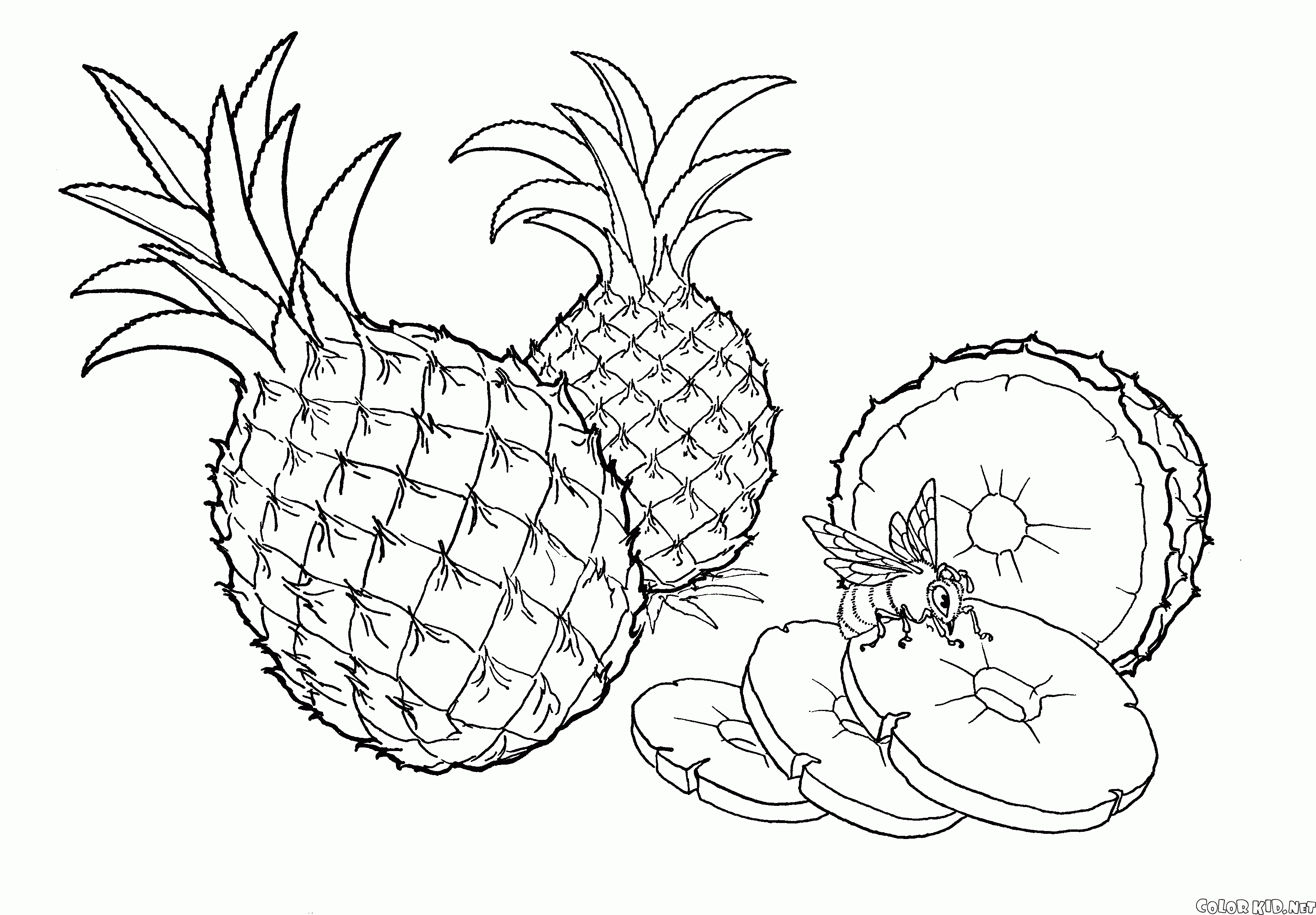 Ananas naturali