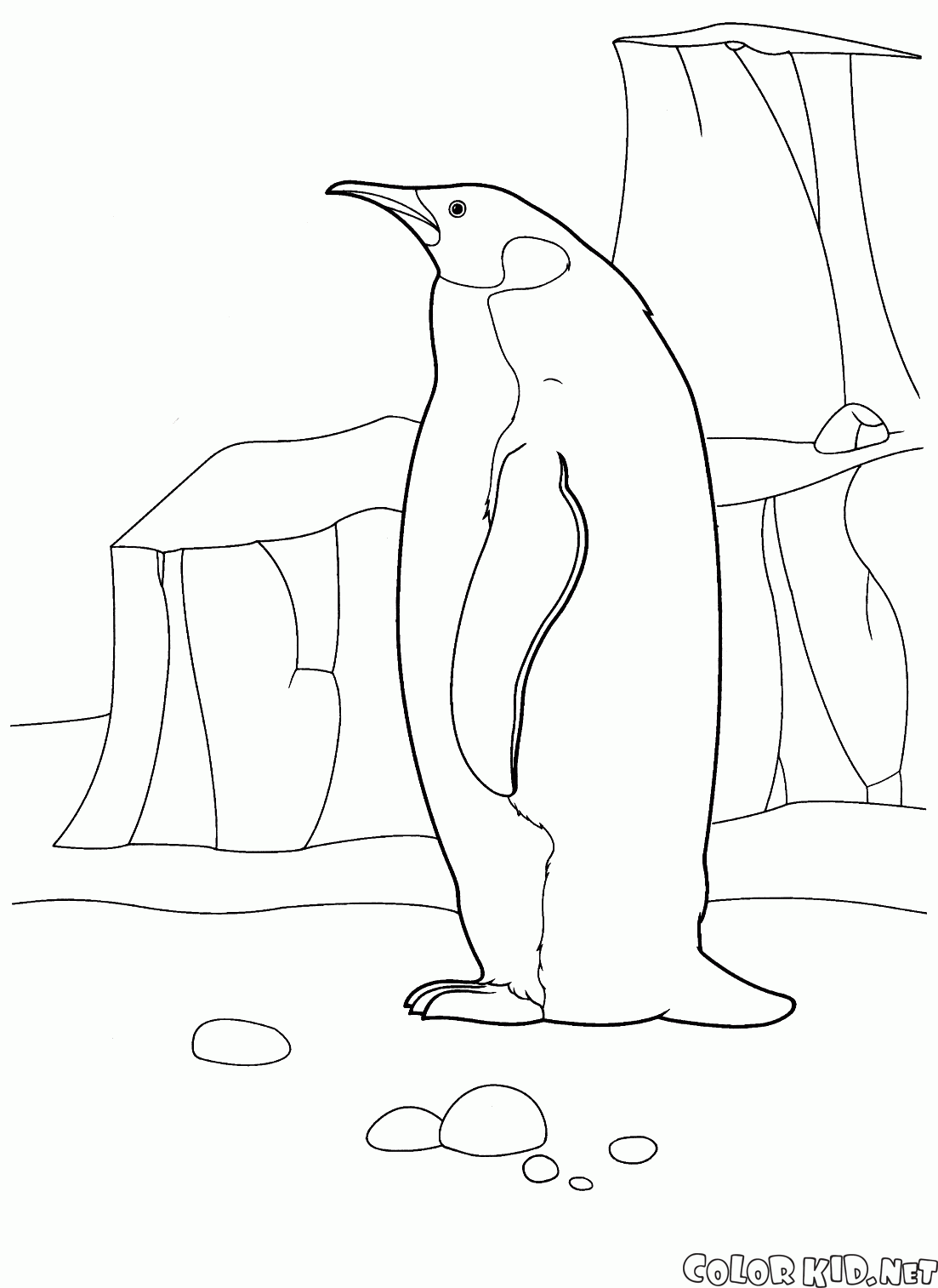 Penguin nellArtico