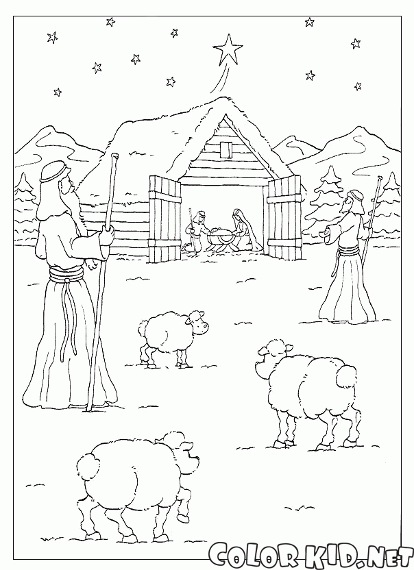 Pastori di Gesù