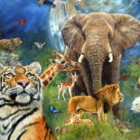 Mondo degli animali