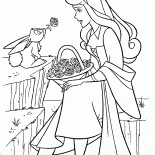 Principessa Aurora e la lepre