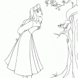 Aurora nella foresta