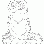 Piccolo Falco - Hannah