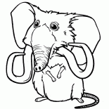 Animali da compagnia di Sandy