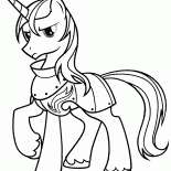 Pony armatura brillante