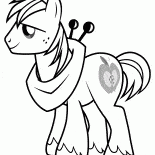 Pony coraggioso