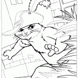 Gatto con gli stivali sulla caccia