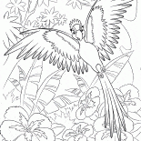 Gioiello