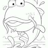 Grande pesce