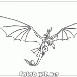 Drago addomesticata