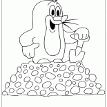 Divertente Mole