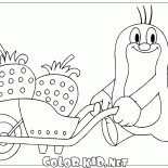 Mole e fragole