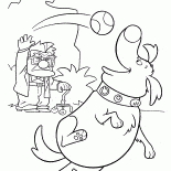 Doug piace il pallone