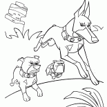 Tre cani