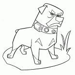 Cane arrabbiato