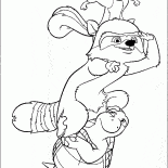 Tartaruga, RJ e Hammy