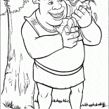 Shrek e gatto