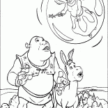 Shrek, Ciuchino e la fata