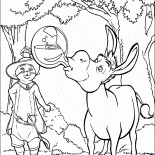 Donkey prova prima