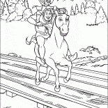 Gatto e Shrek su asino