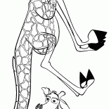 Melman è scherzare