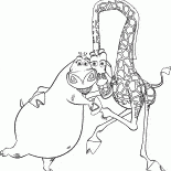 Gloria e carino giraffa