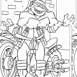 Michelangelo e moto