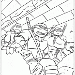 Tartarughe nelle fogne