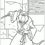 Maestro Splinter